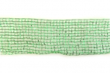 Стрічка поліестр., Сітка зелена, ш.6.5 см; 50 м в рул.