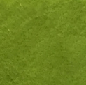 Фетр світло-оливковий, м'який, 1,4 мм, ш. 0,92 м