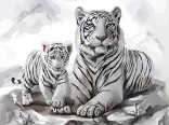 Бенгальські тигри 20*30 см. Набір для творчості зі стразами на підрамнику.
